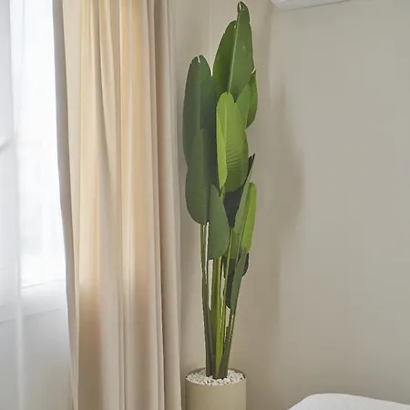 Wake Cup Alacati Çeşme